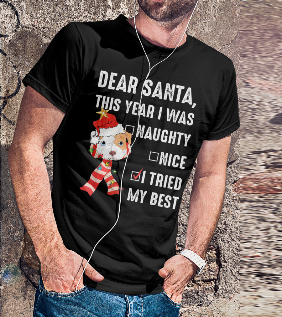 Dear Santa This Year I Was Naughty Nice I Tried My Best Dog Christmas Hat Lights T-Shirt
