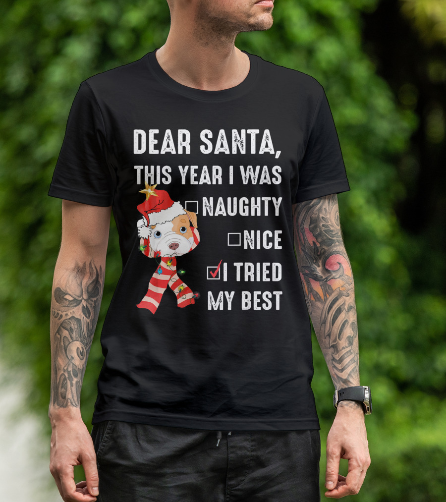 Dear Santa This Year I Was Naughty Nice I Tried My Best Dog Christmas Hat Lights T-Shirt