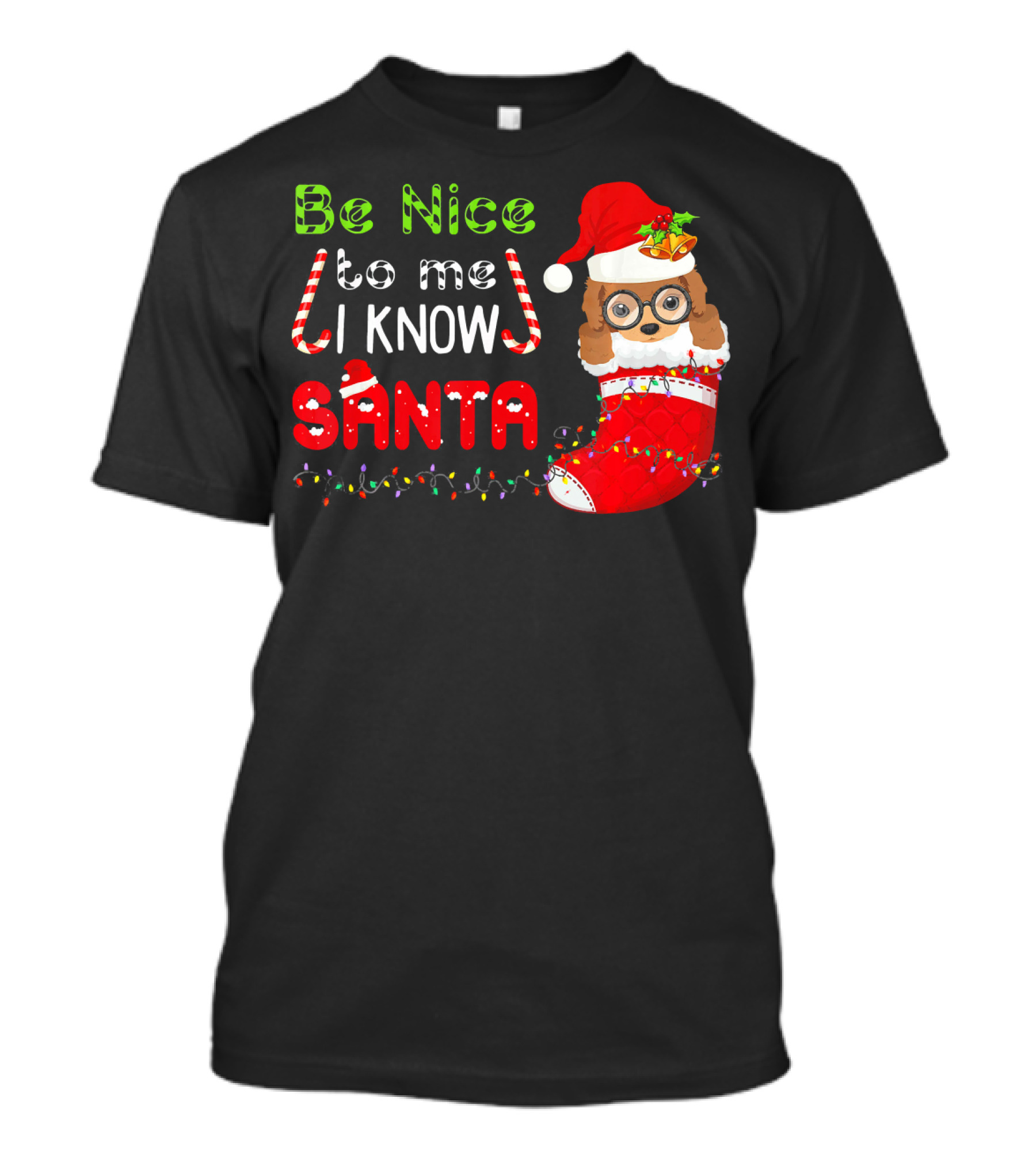 Be Nice To Me I Know Santa Poodle Christmas Stocking Dog T-Shirt
