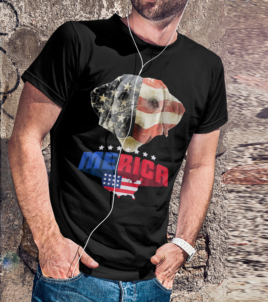 Dachshund Merica American Flag Patriotic 4th Of July USA Map T-Shirt