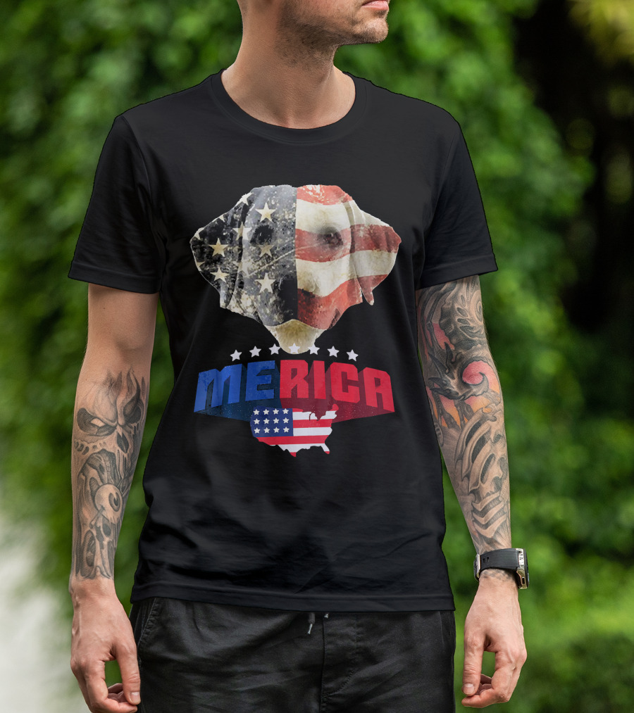 Dachshund Merica American Flag Patriotic 4th Of July USA Map T-Shirt