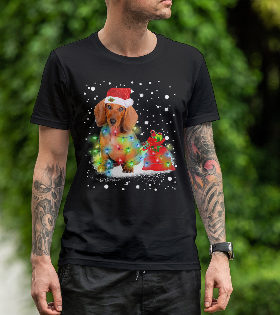 Santa Dachshund With Christmas Lights And Snowflakes T-Shirt