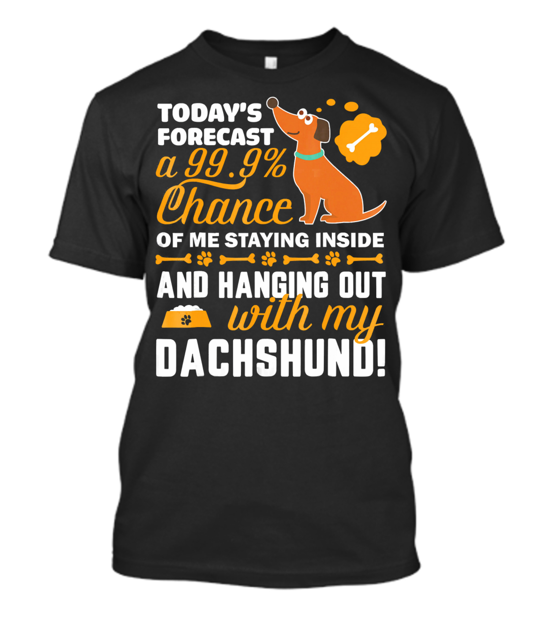 Today's Forecast A 99.9% Chance Of Me Staying Inside And Hanging Out With My Dachshund T-Shirt
