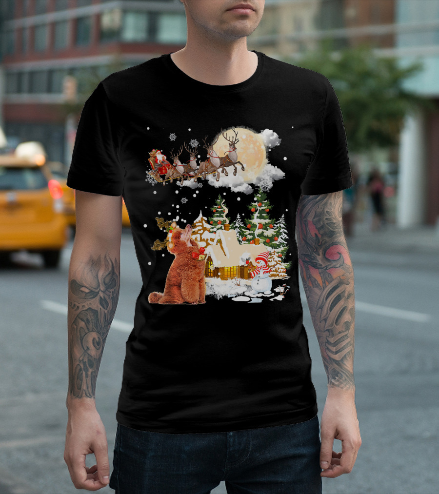 Poodle Watching Santa's Sleigh Over Christmas Village T-Shirt