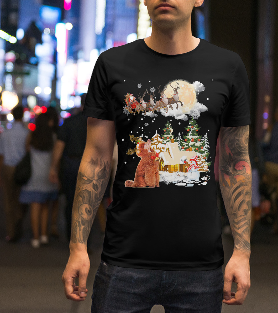 Poodle Watching Santa's Sleigh Over Christmas Village T-Shirt
