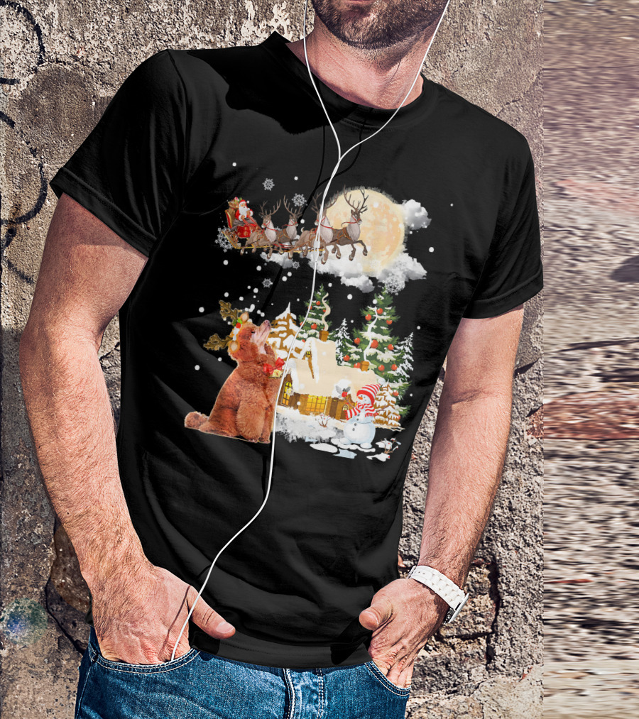 Poodle Watching Santa's Sleigh Over Christmas Village T-Shirt