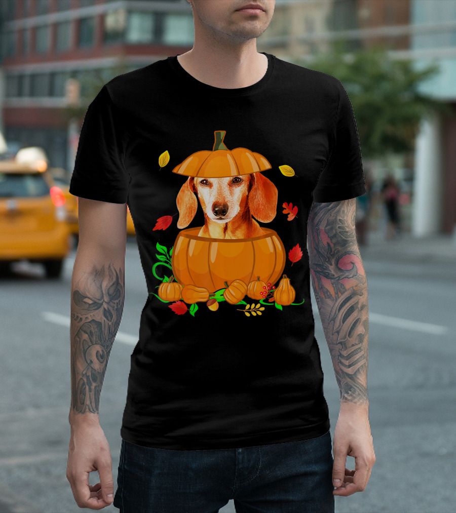 Pumpkin Dachshund Autumn Funny Lover Pumpkin Decor Leaves T-Shirt