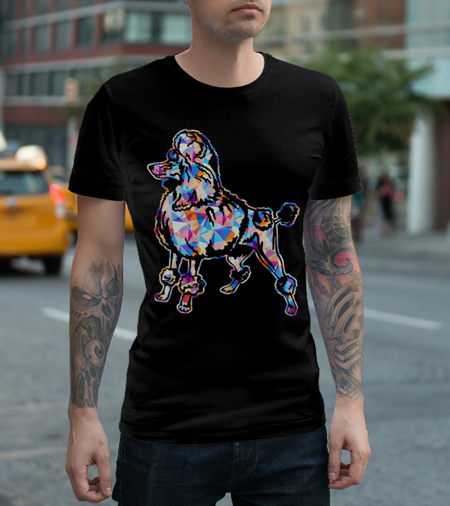 Poodle Poodle Geometric Colorful T-Shirt