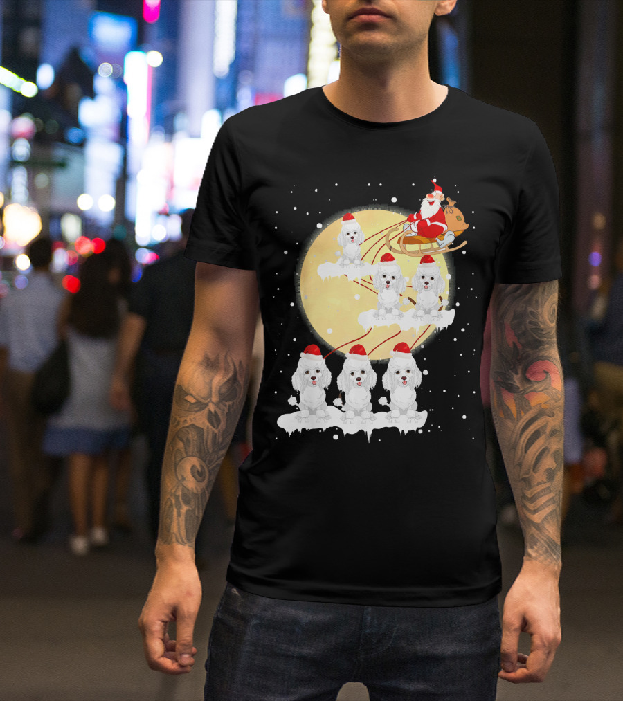Poodle Reindeer Christmas Santa Sleigh Moon Funny T-Shirt