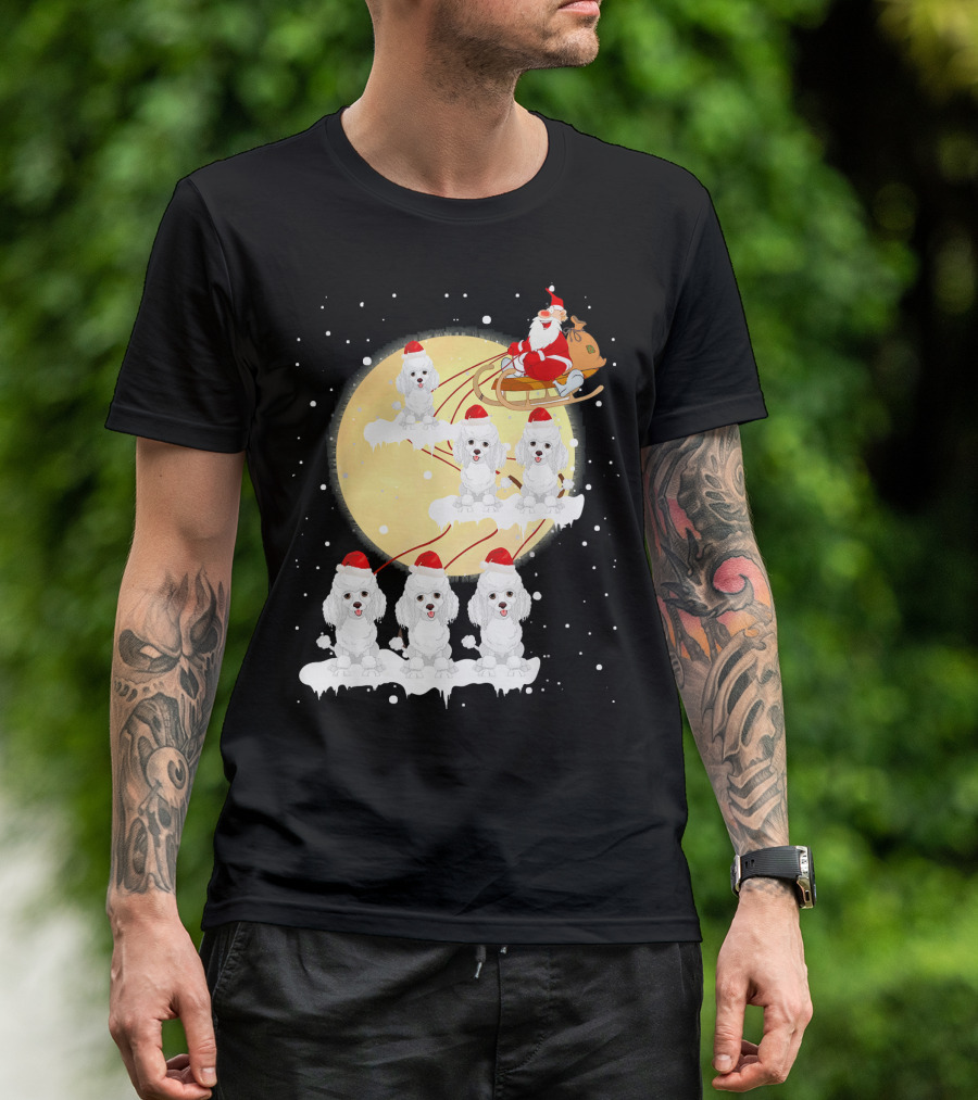 Poodle Reindeer Christmas Santa Sleigh Moon Funny T-Shirt