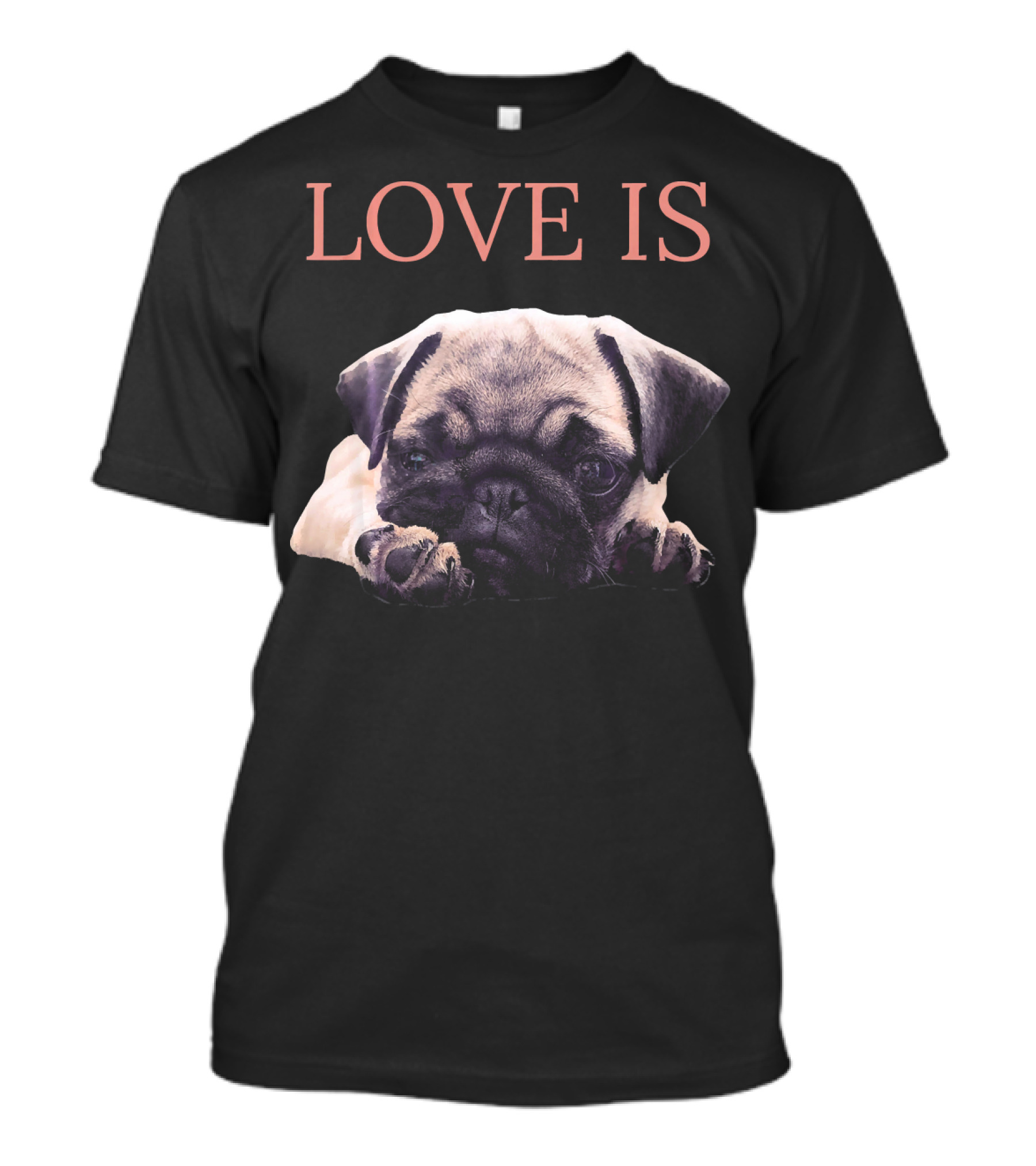 Love Is Birthday Pug Women Men Pug Mom Lif T-Shirt