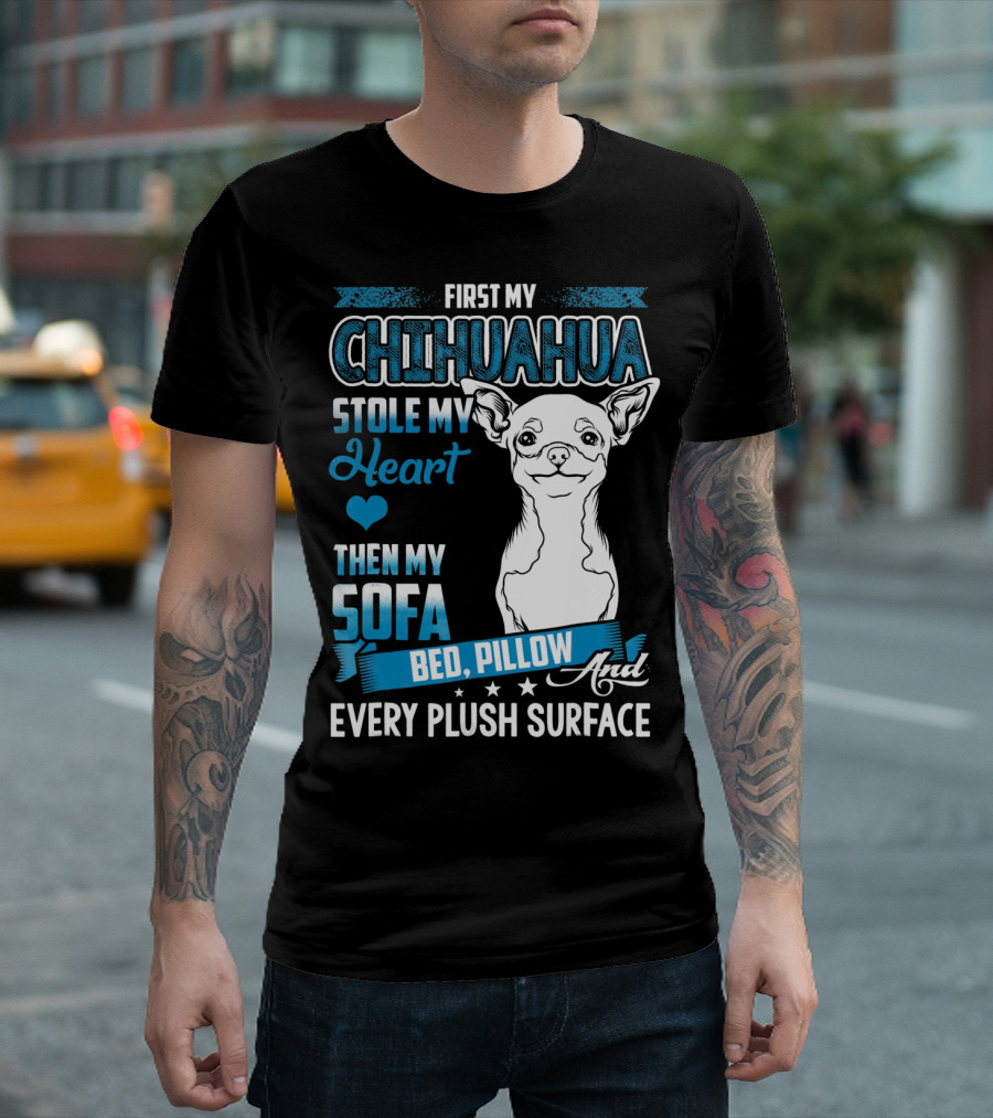 First My Chihuahua Stole My Heart Then My Sofa Bed Pillow And Every Plush Surface T-Shirt