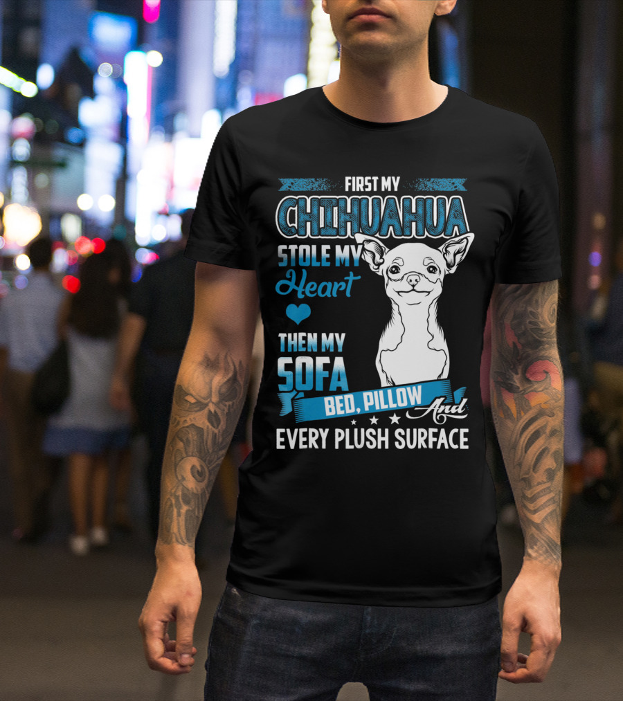 First My Chihuahua Stole My Heart Then My Sofa Bed Pillow And Every Plush Surface T-Shirt