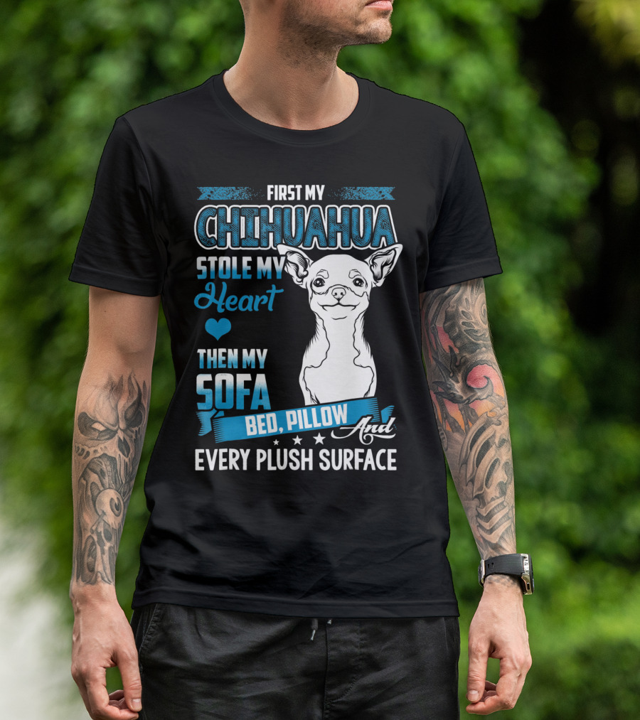 First My Chihuahua Stole My Heart Then My Sofa Bed Pillow And Every Plush Surface T-Shirt