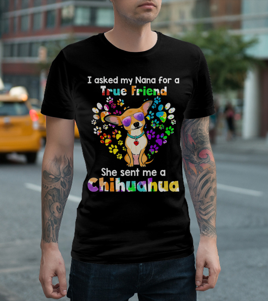 I Asked My Nana For A True Friend She Sent Me A Chihuahua T-Shirt