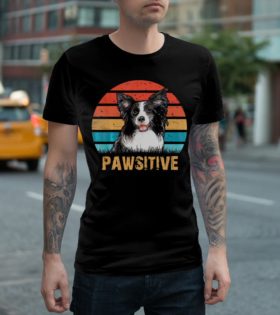 Pawsitive Border Collie Love Vintage Sunset Stripes T-Shirt