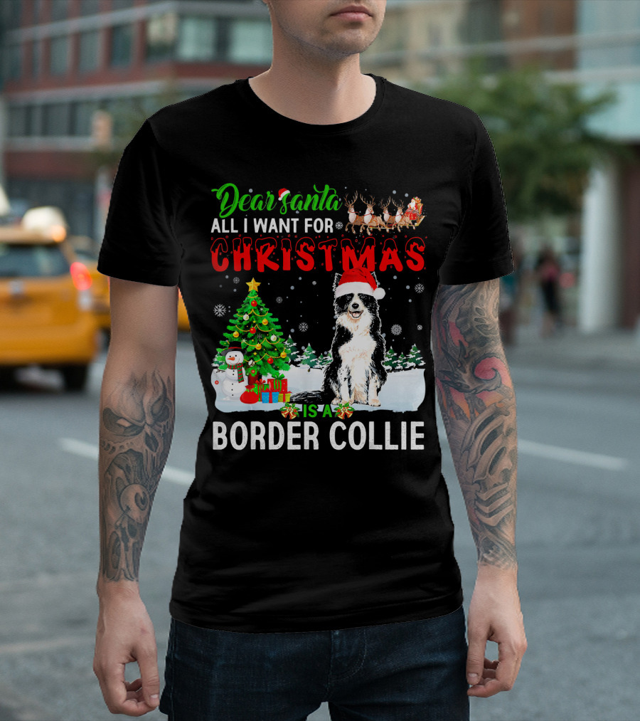 Dear Santa All I Want For Christmas Is A Border Collie T-Shirt
