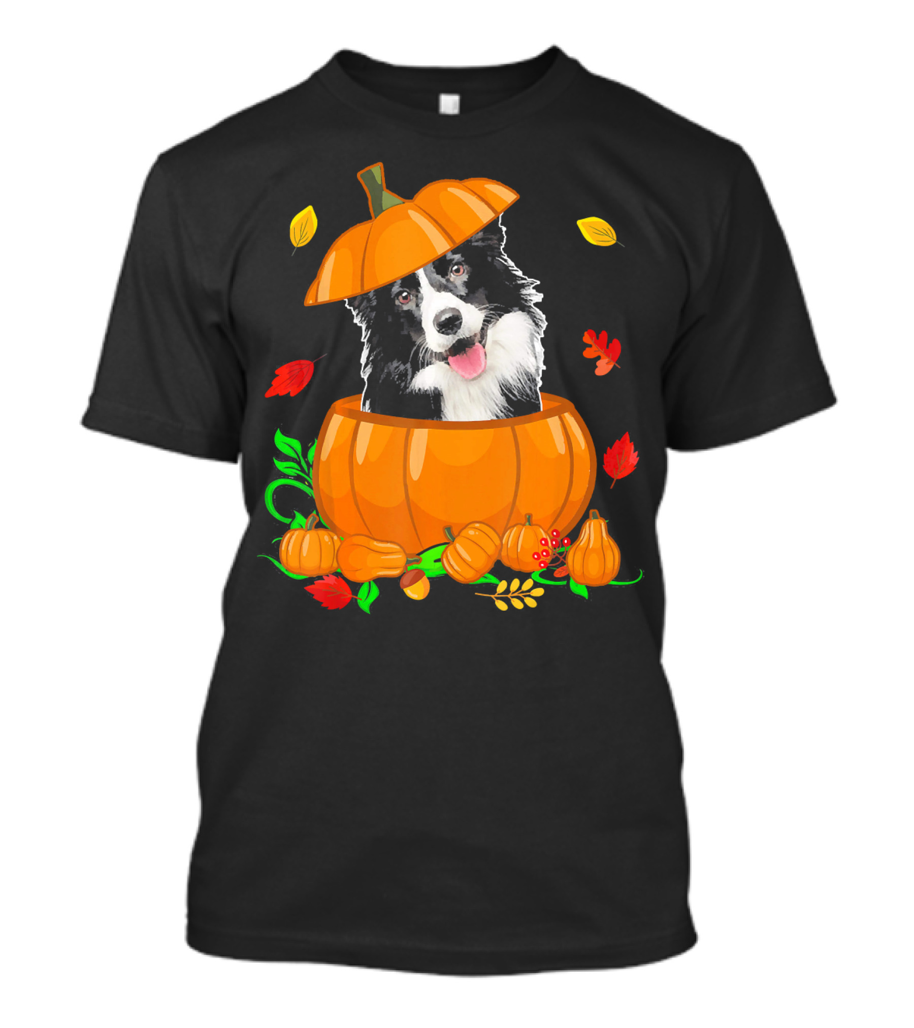 Pumpkin Border Collie Funny Border Collie Autumn Leaves T-Shirt