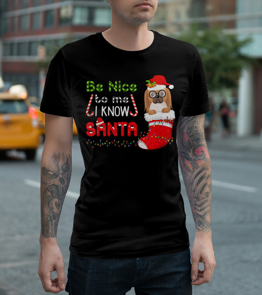 Be Nice To Me I Know Santa Pekingese In Santa Hat And Christmas Stocking T-Shirt