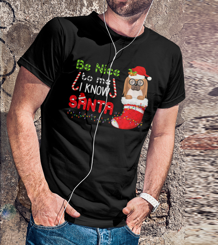 Be Nice To Me I Know Santa Pekingese In Santa Hat And Christmas Stocking T-Shirt