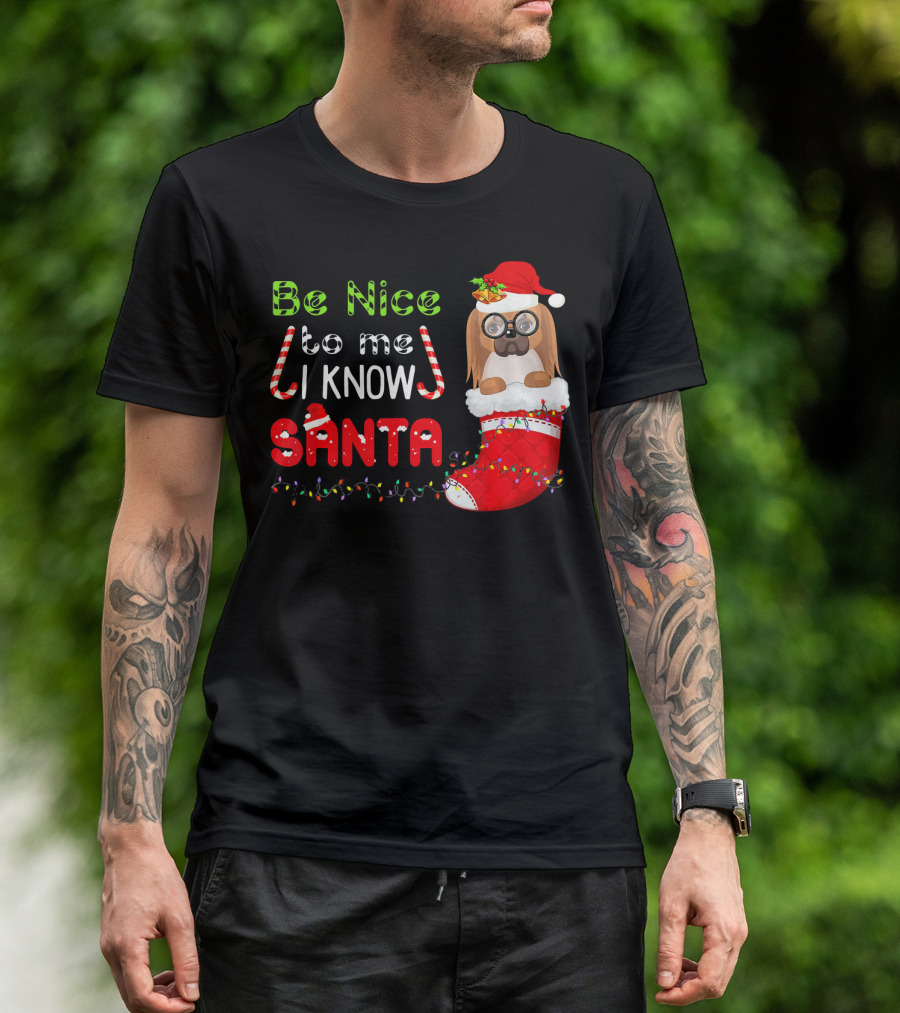 Be Nice To Me I Know Santa Pekingese In Santa Hat And Christmas Stocking T-Shirt