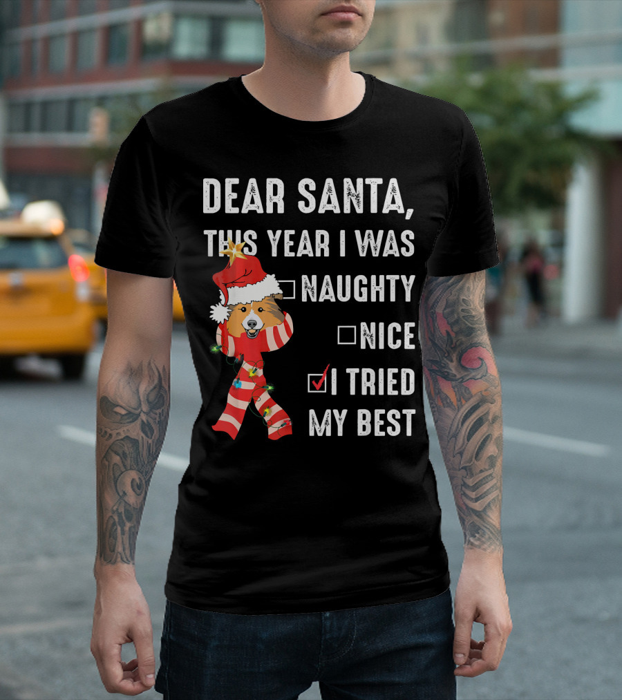 Dear Santa This Year I Was Naughty Nice I Tried My Best Schnauzer Chr T-Shirt