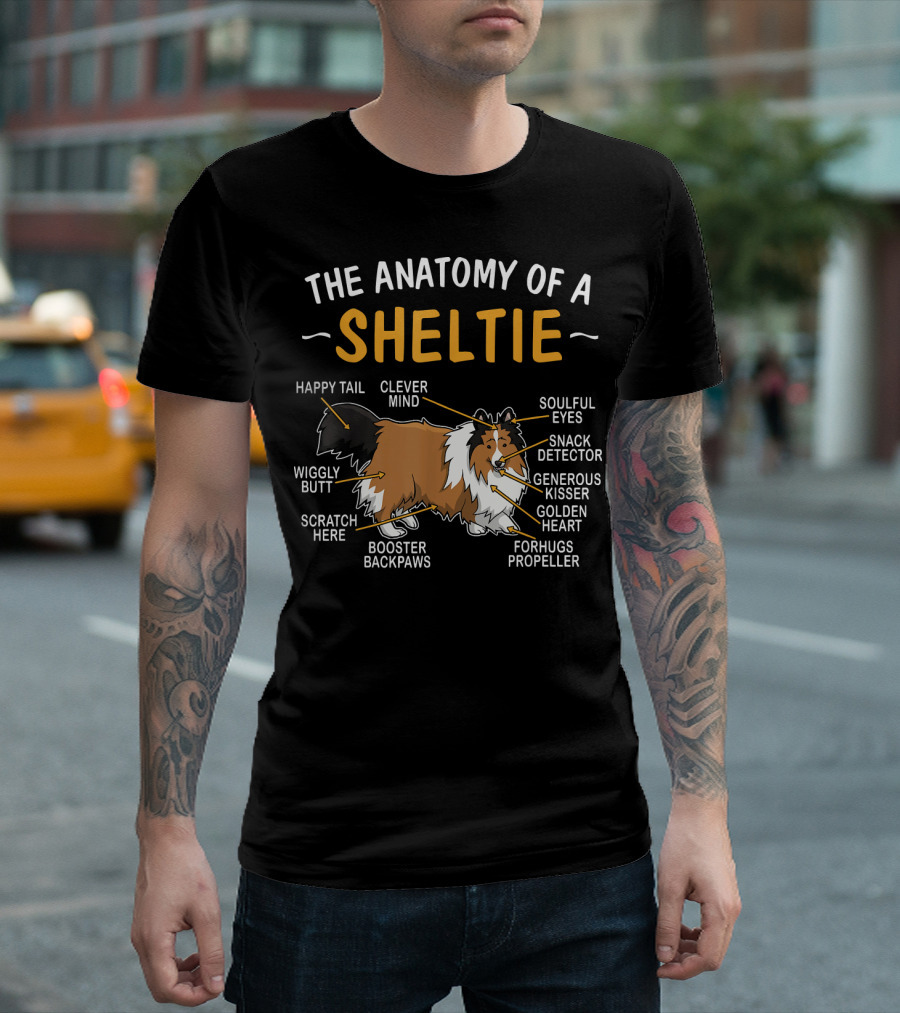The Anatomy of a Sheltie Clever Mind Happy Tail Soulful Eyes Wiggly Butt Snack Detector Generous Kisser Golden Heart Booster Backpaws Forhugs Propelle