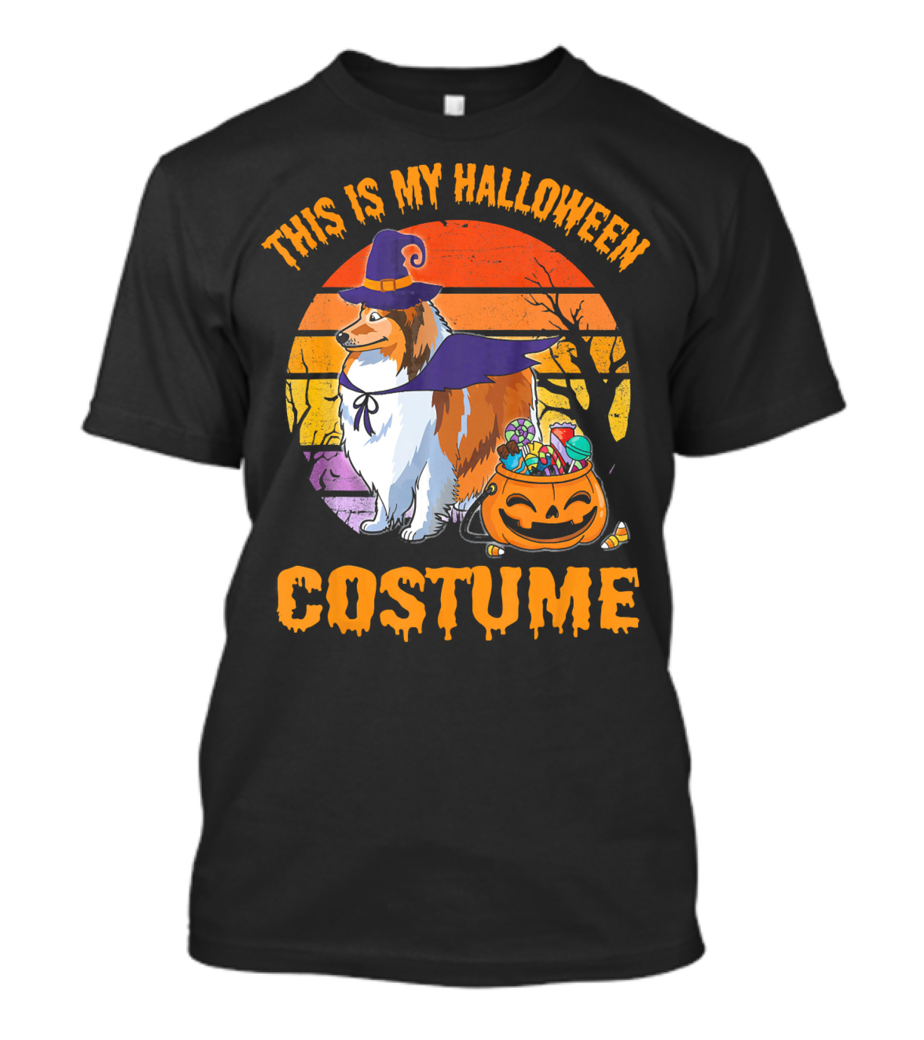 Sheltie Dog Witch With Pumpkin Candy This Is My Halloween Costume T-Shirt
