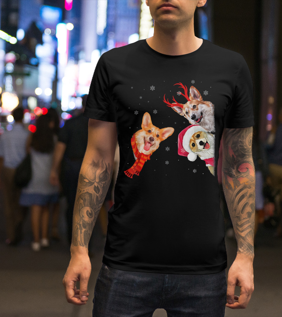 Tee89s Corgi Holiday Fun Facts With Festive Santa Hats And Reindeer Antlers T-Shirt