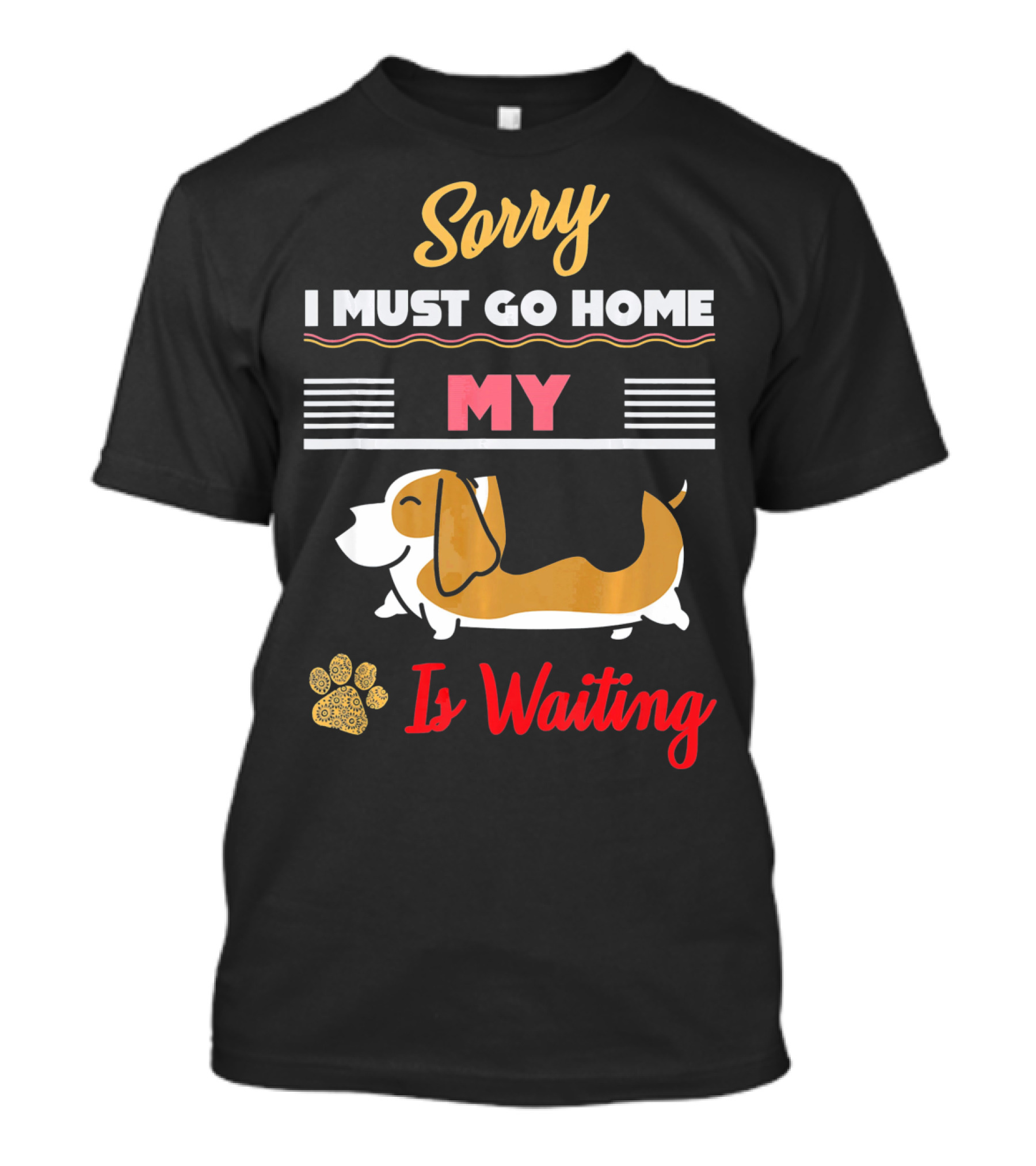 Sorry I Must Go Home My Basset Hound Is Waiting T-Shirt