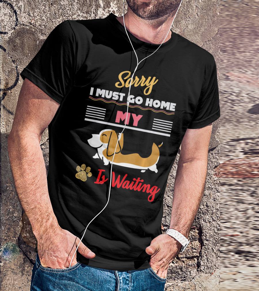 Sorry I Must Go Home My Basset Hound Is Waiting T-Shirt