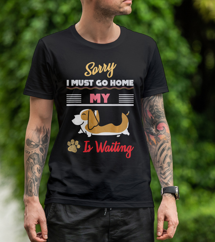 Sorry I Must Go Home My Basset Hound Is Waiting T-Shirt
