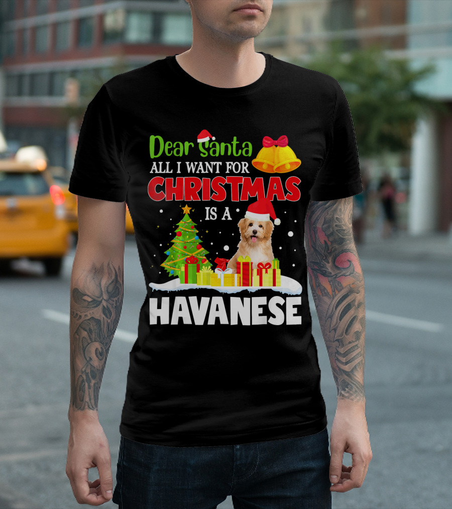 Dear Santa All I Want For Christmas Is A Havanese T-Shirt