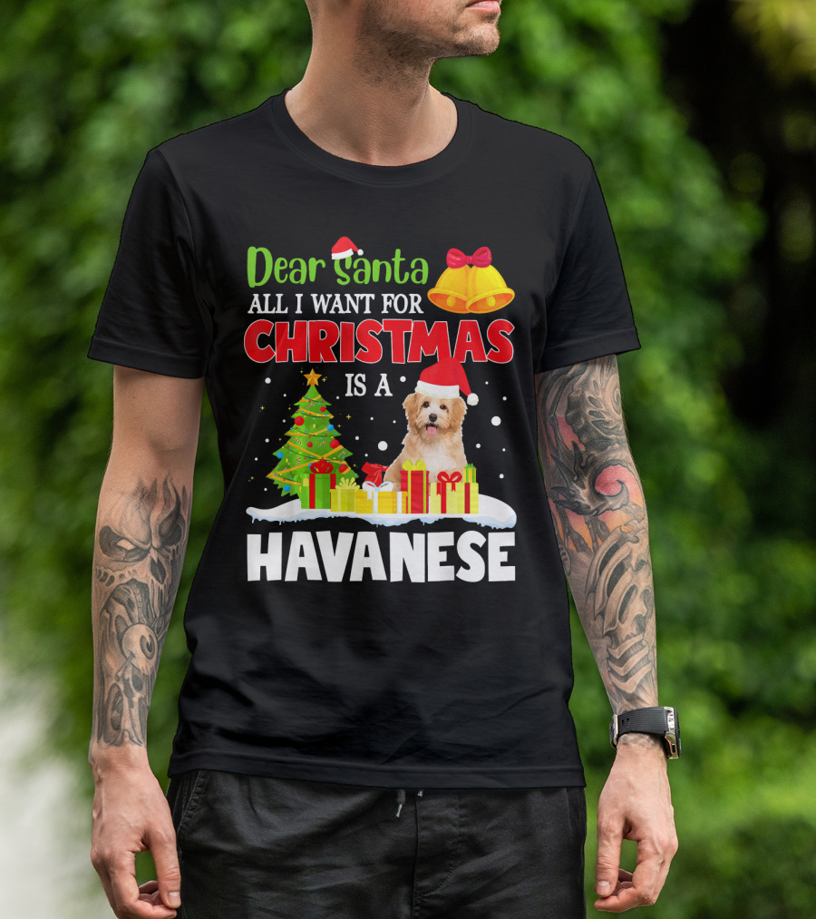 Dear Santa All I Want For Christmas Is A Havanese T-Shirt