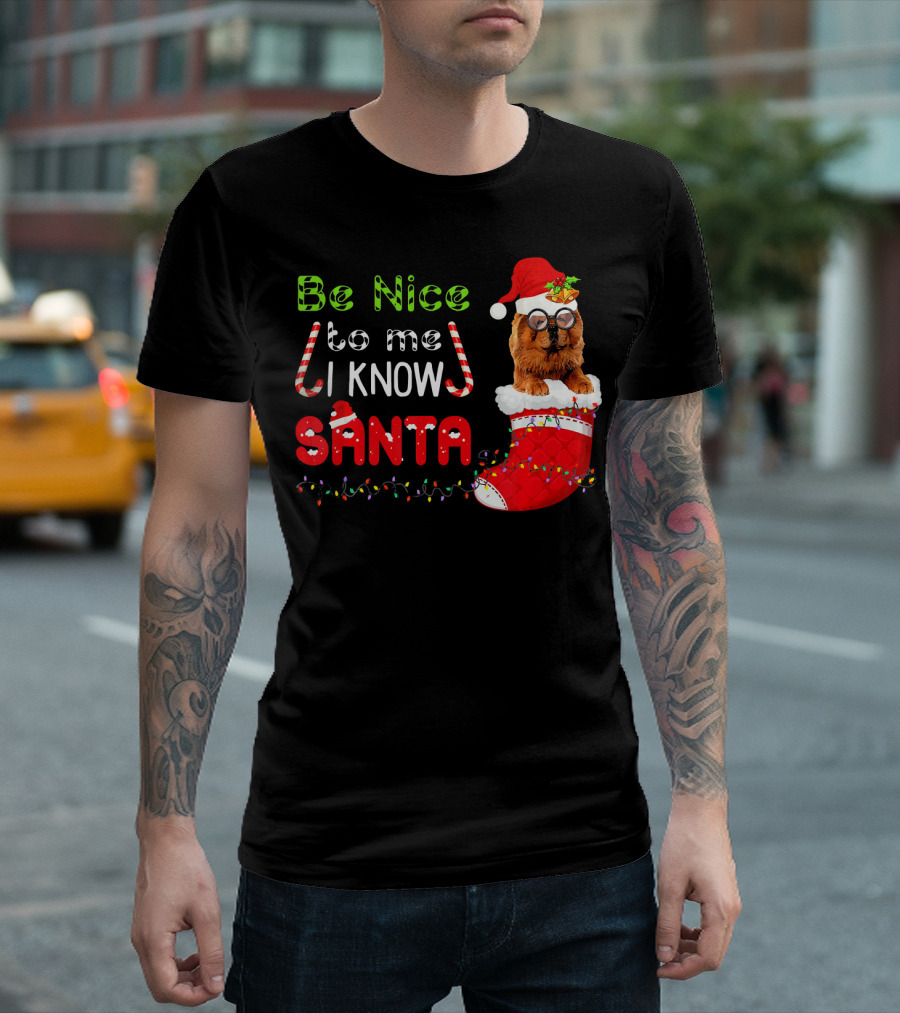 Be Nice To Me I Know Santa Chow Chow Stocking T-Shirt