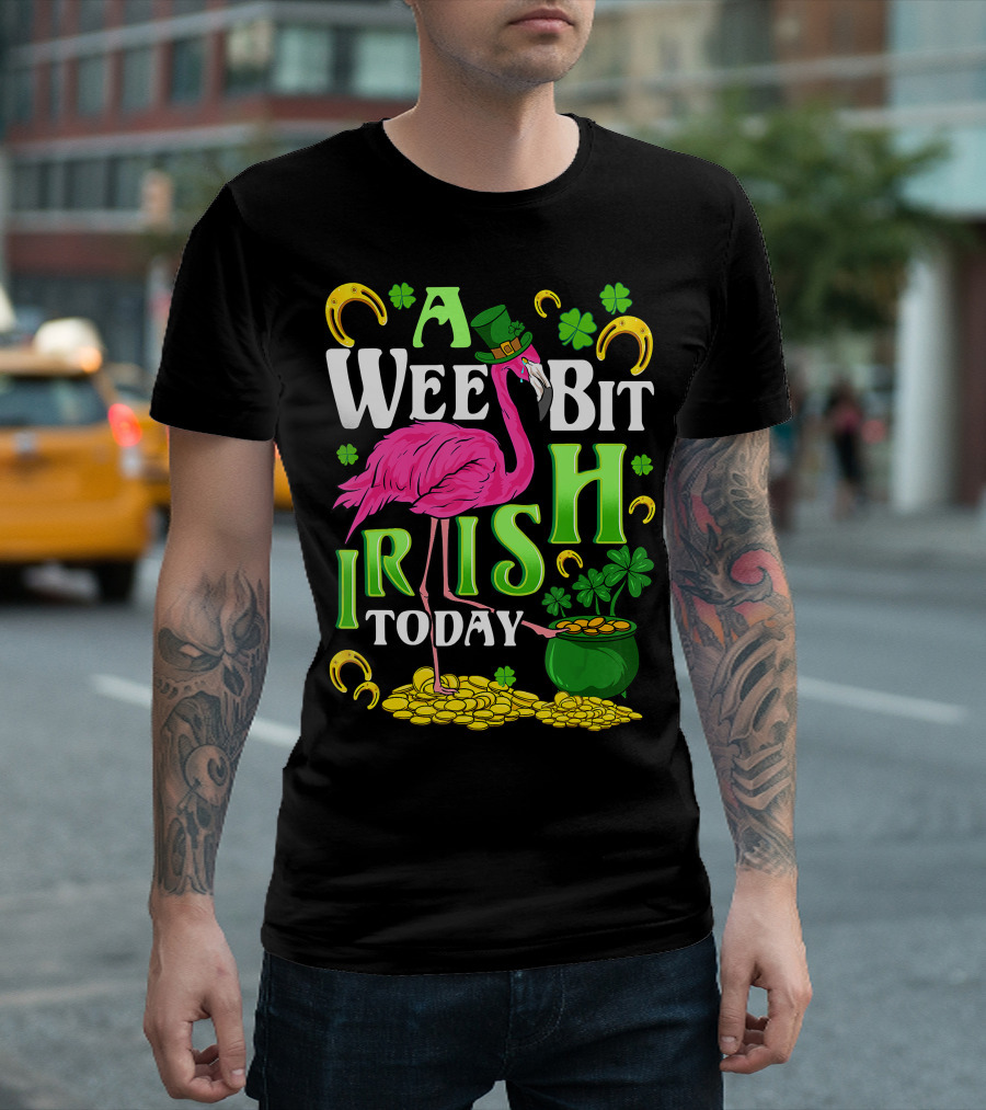 A Wee Bit Irish Today Flamingo Leprechaun Clover Horseshoe Gold Coins T-Shirt