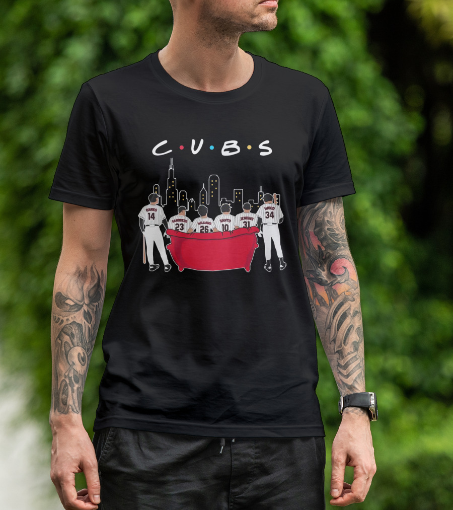 Cubs Friends Chicago Skyline Banks Sandberg Williams Santo Jenkins Wood T-Shirt