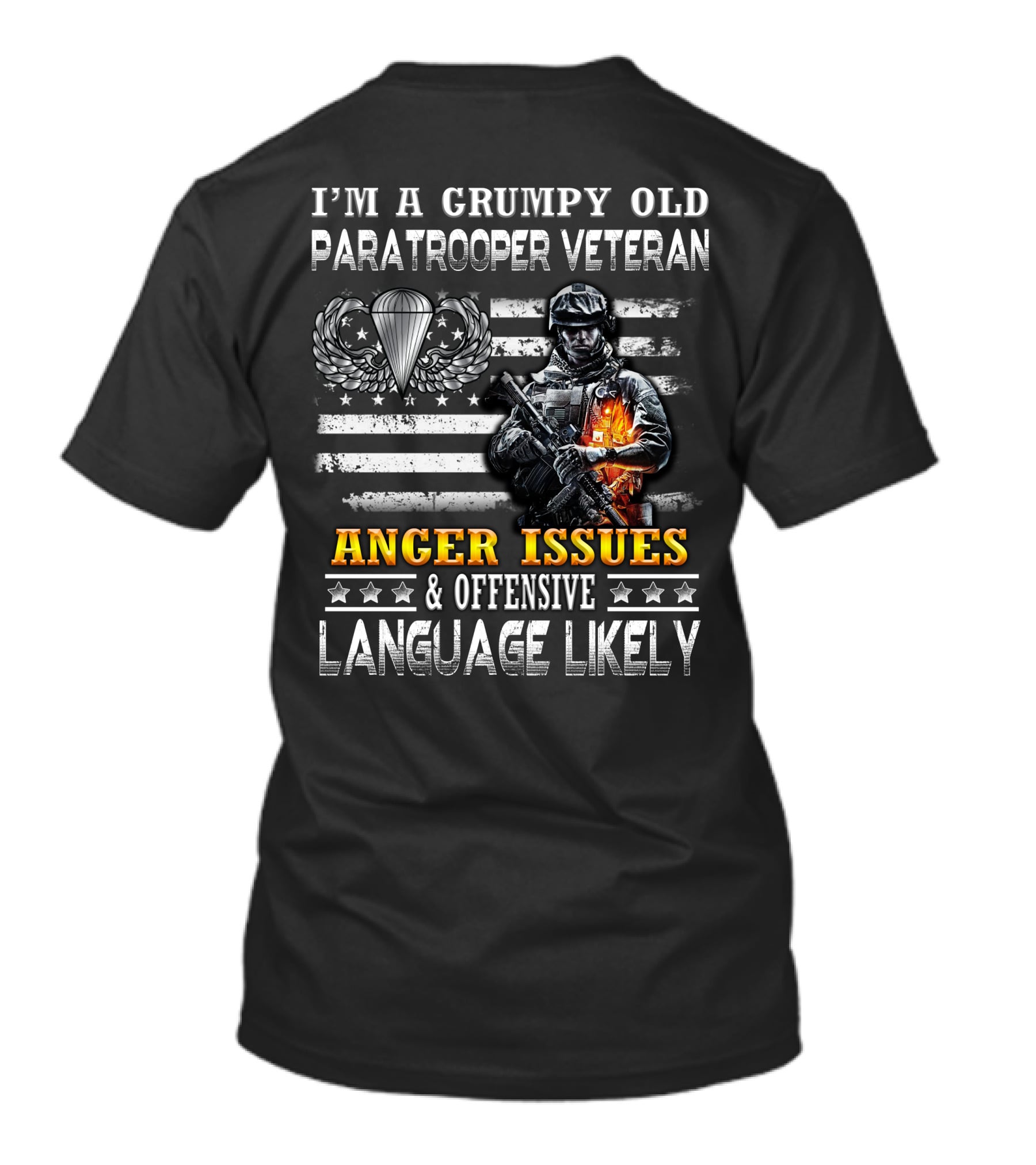 I'm A Grumpy Old Paratrooper Veteran Anger Issues & Offensive Language Likely T-Shirt