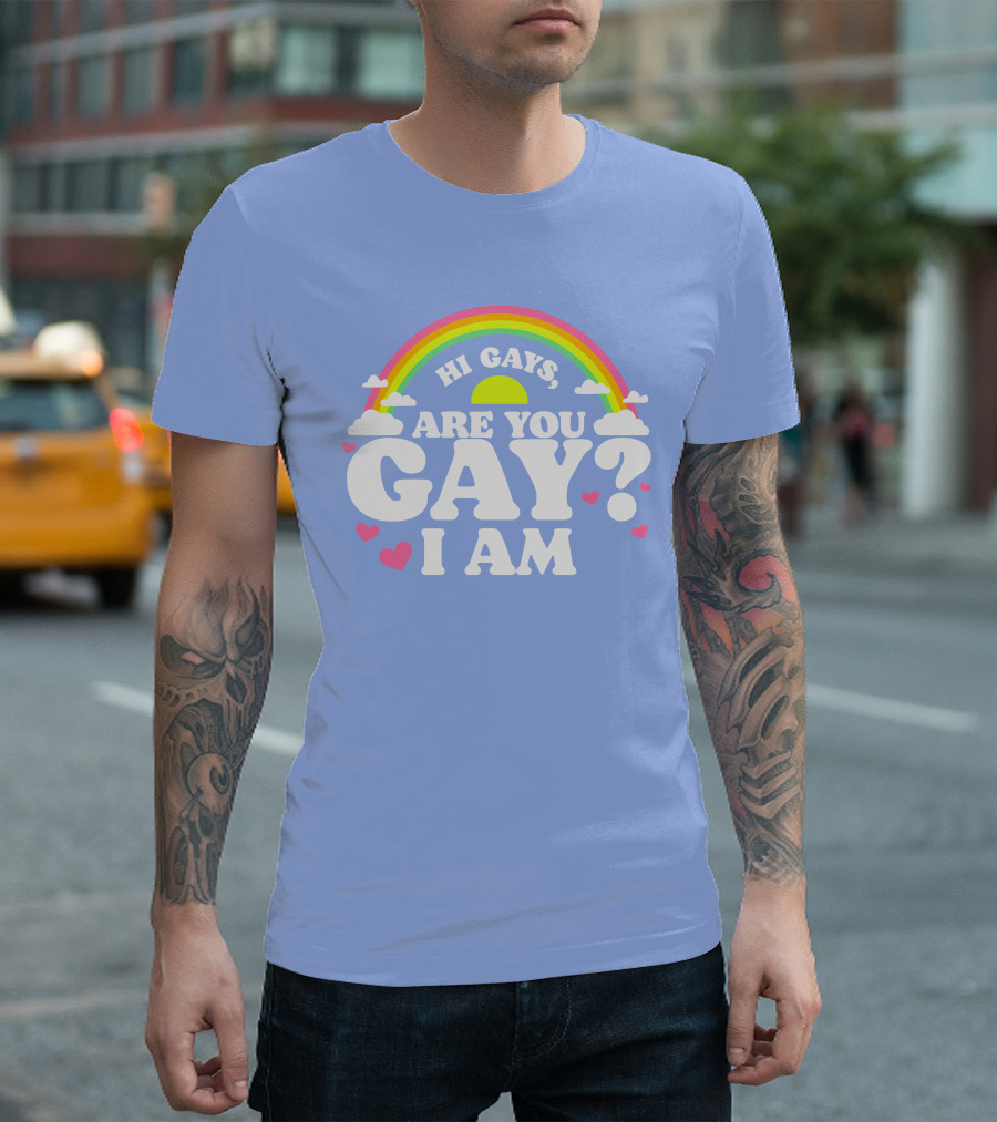 Chrissy Chlapecka Merch Hi Gays Are You Gay I Am with Rainbow and Hearts T-Shirt