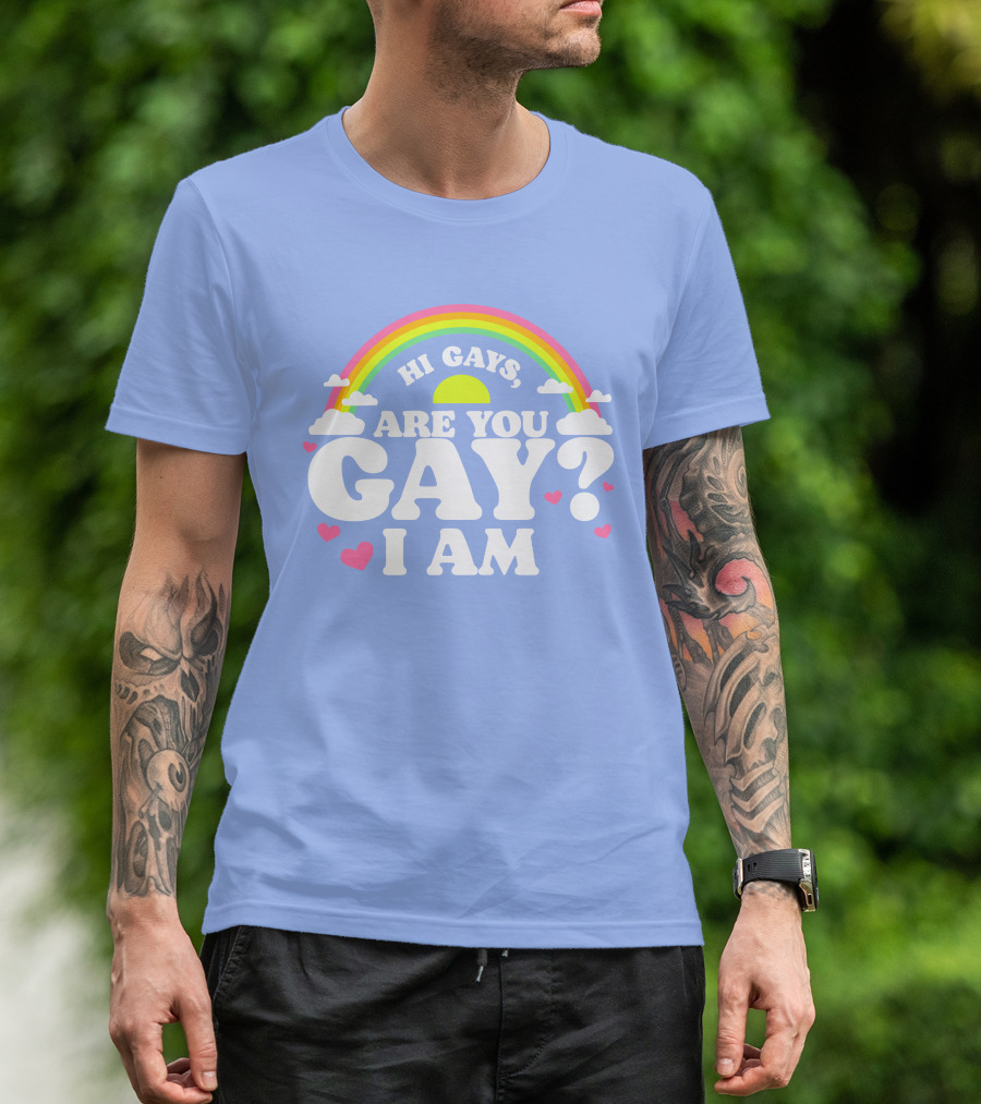 Chrissy Chlapecka Merch Hi Gays Are You Gay I Am With Rainbow And Hearts T-Shirt