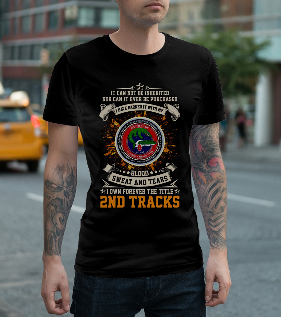 2Nd Assault Amphibian Battalion Blood Sweat And Tears I Own Forever The Title 2Nd Tracks T-Shirt