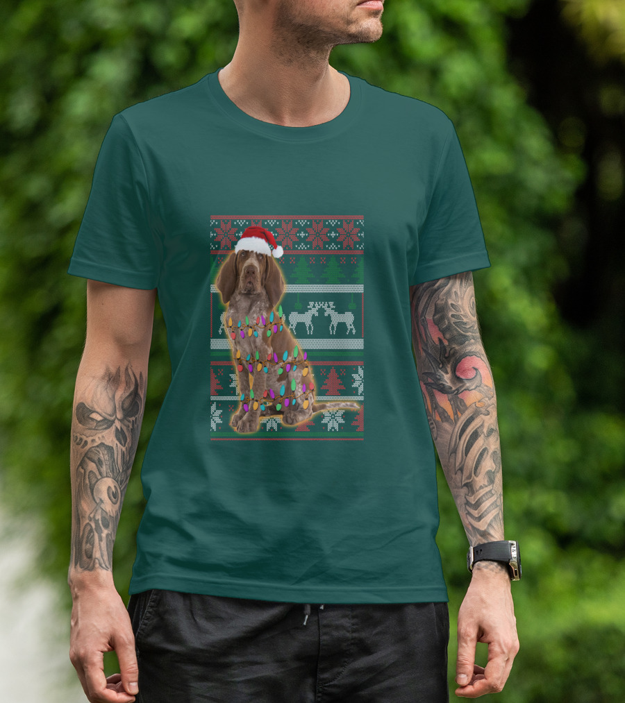 Bracco Italiano Christmas Lights Santa Hat Festive T-Shirt