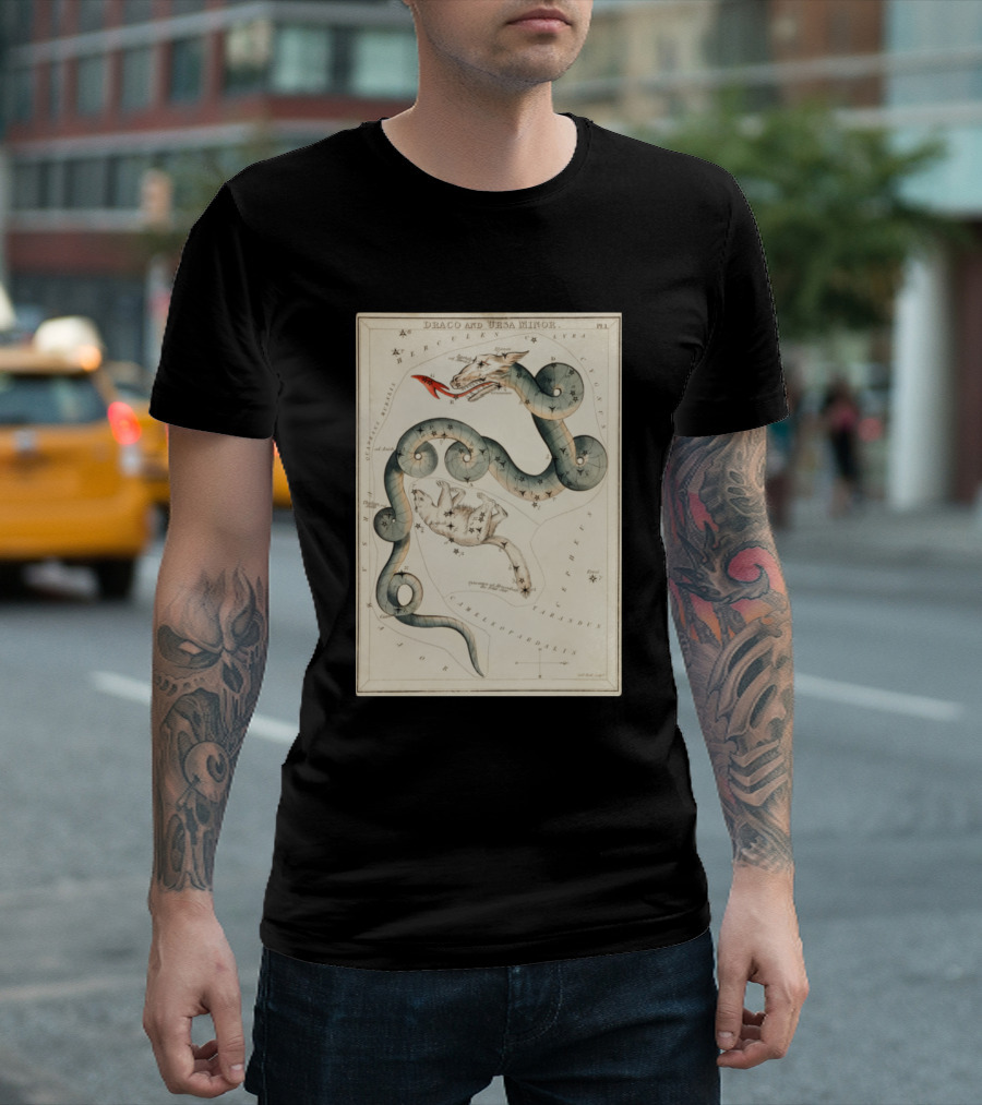 Draco And Ursa Minor Celestial Map T-Shirt