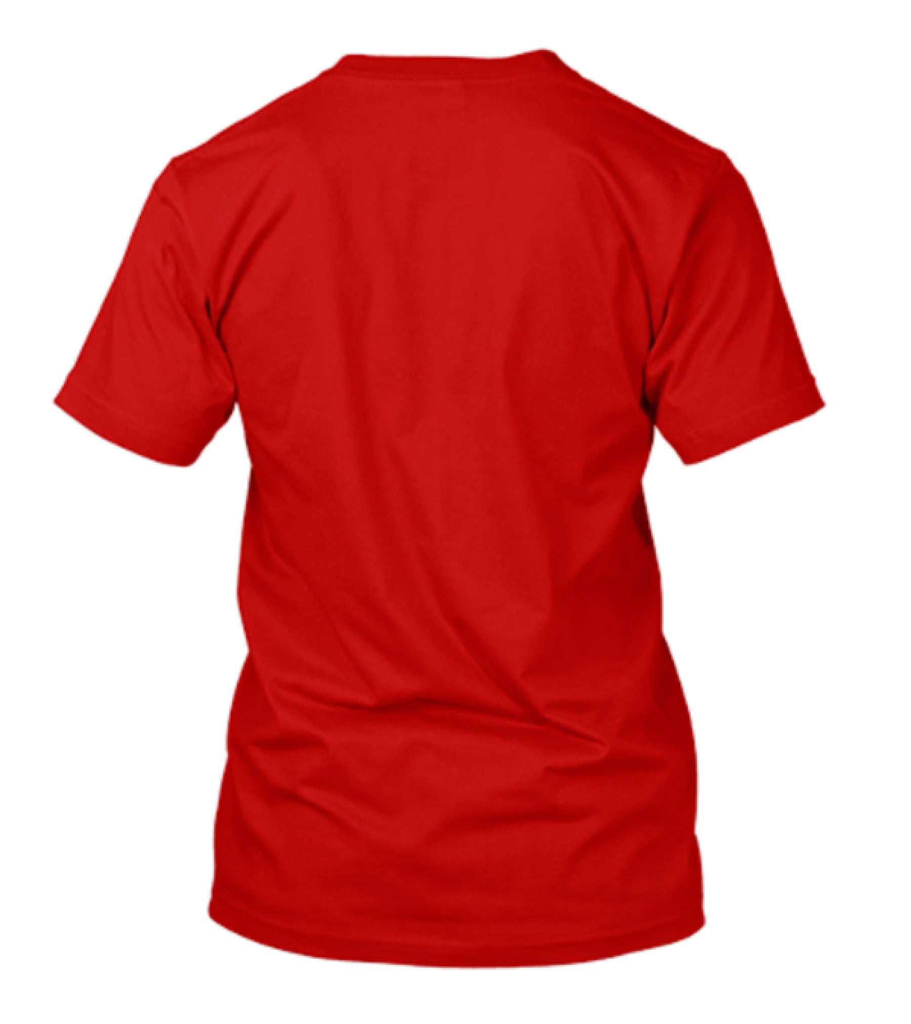 LIFE ROCKS WHEN YOUR LIVING ROOM ROLLS Entegra Vision T-Shirt