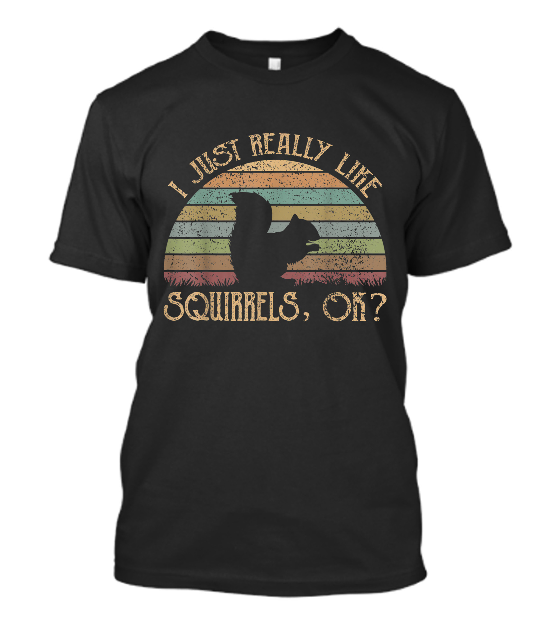 I Just Really Like Squirrels OK Vintage Retro Stripes T-Shirt