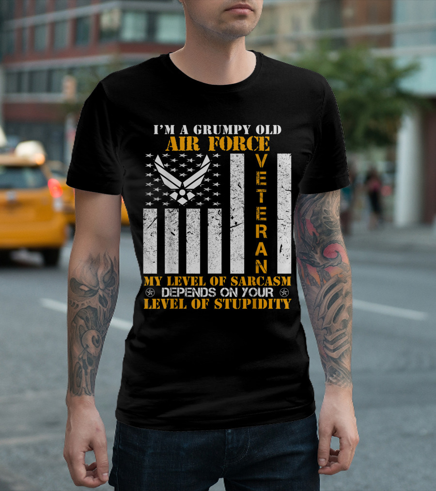 I'm A Grumpy Old Air Force Veteran My Level Of Sarcasm Depends On Your Level Of Stupidity T-Shirt
