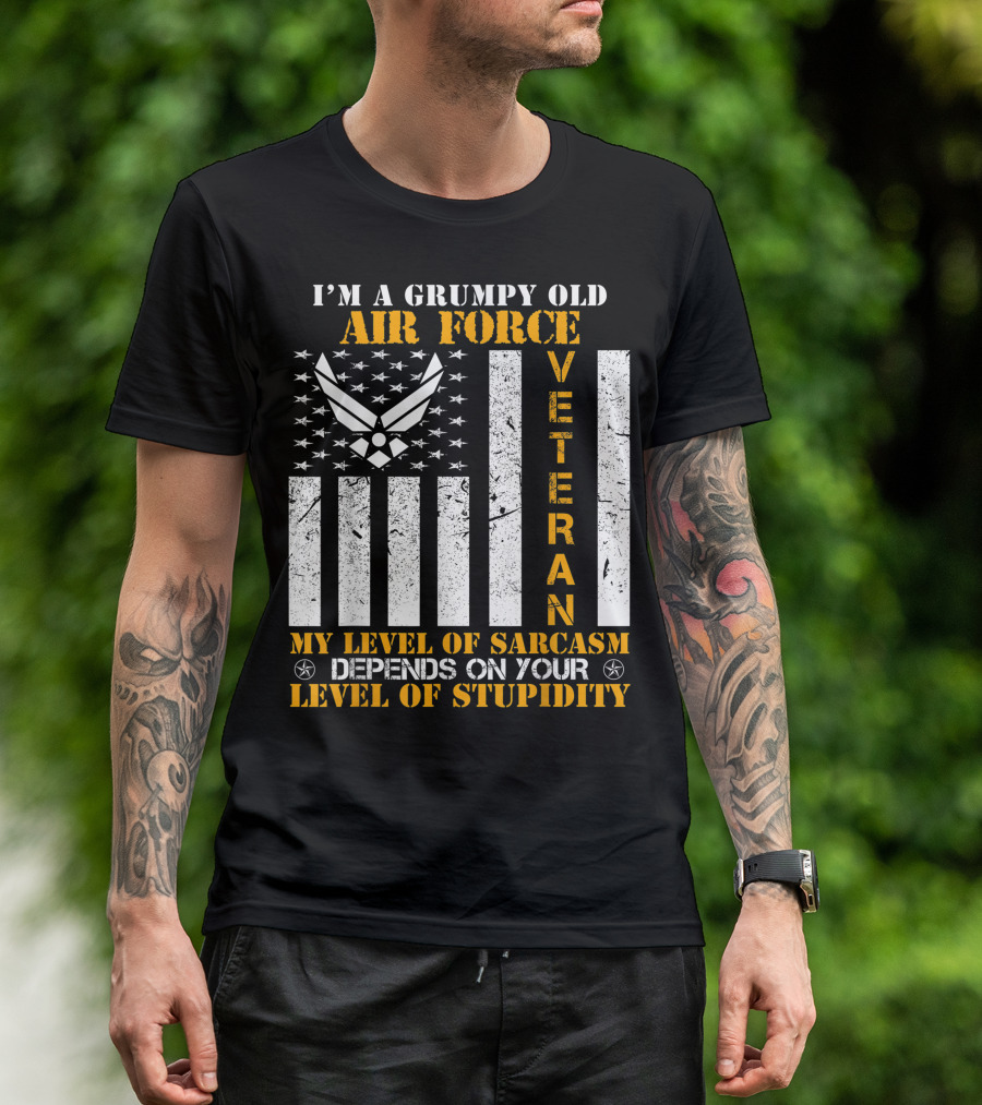I'm A Grumpy Old Air Force Veteran My Level Of Sarcasm Depends On Your Level Of Stupidity T-Shirt