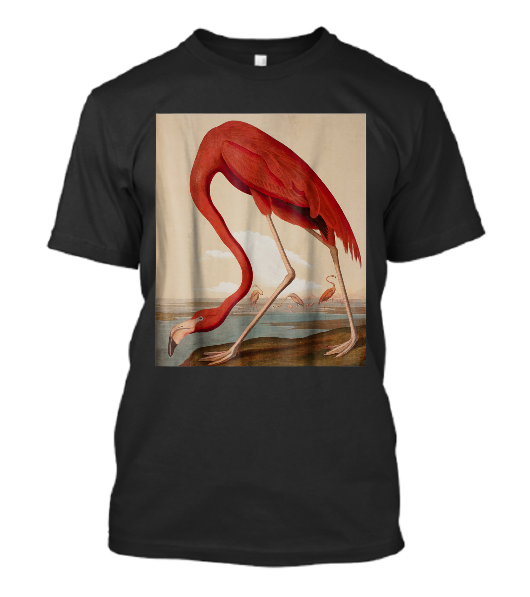 American Flamingo The Birds Of America By Audubon T-Shirt
