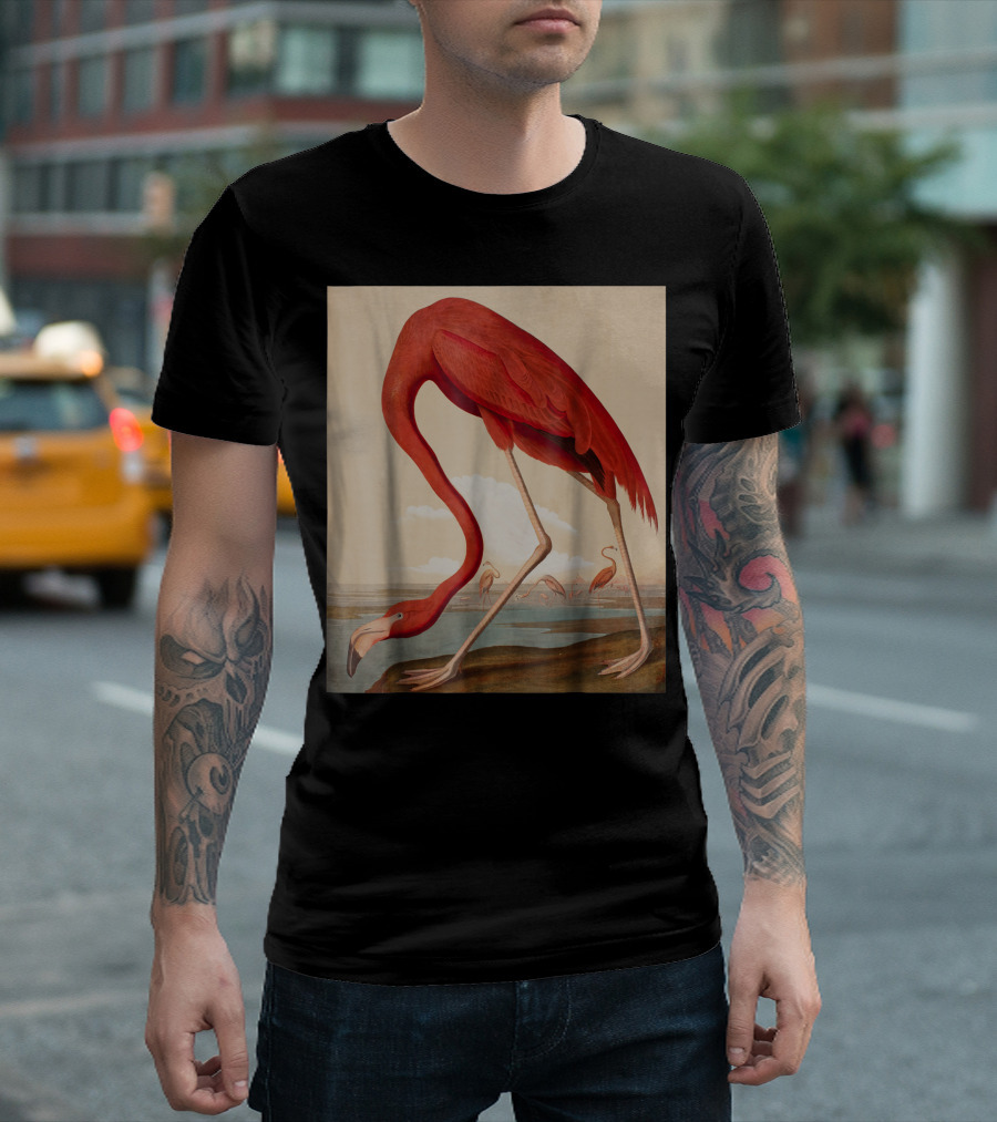American Flamingo The Birds Of America By Audubon T-Shirt