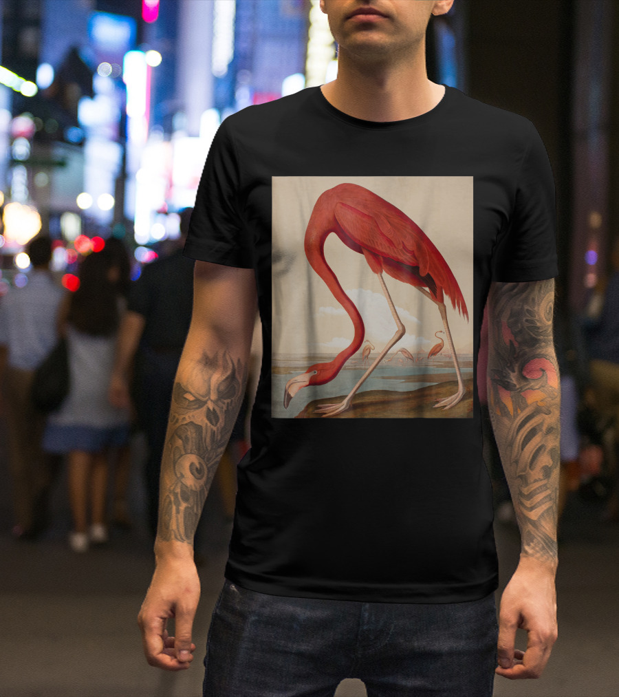 American Flamingo The Birds Of America By Audubon T-Shirt